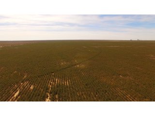Property photo 5 - IRRIGATED FARMLAND AUCTION - 640+/- ACRES OFFERED IN 1 TRACT IN HARTLEY CO., TEXAS